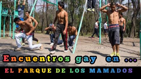 gays mamados|Mamando Gay Porn Videos .